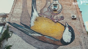 ТОП Киевских муралов