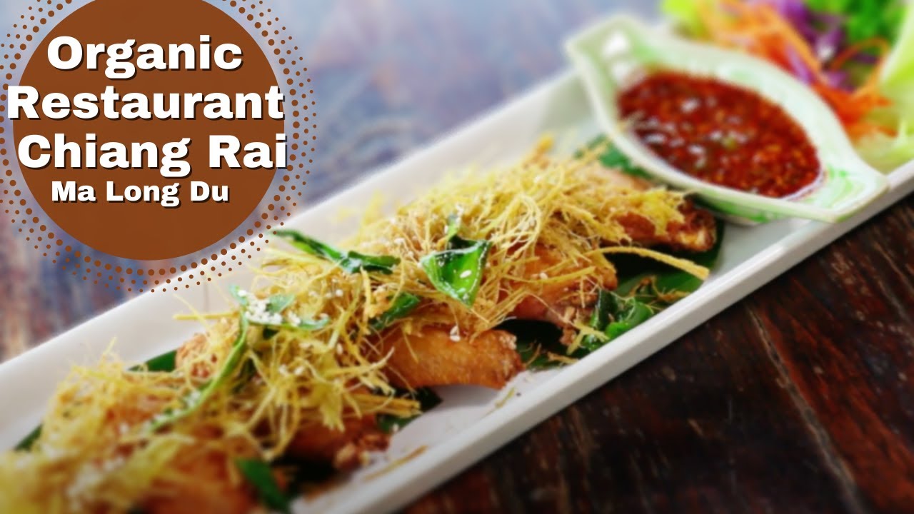 ORGANIC THAI FOOD IN CHIANG RAI THAILAND- Ma Long Du