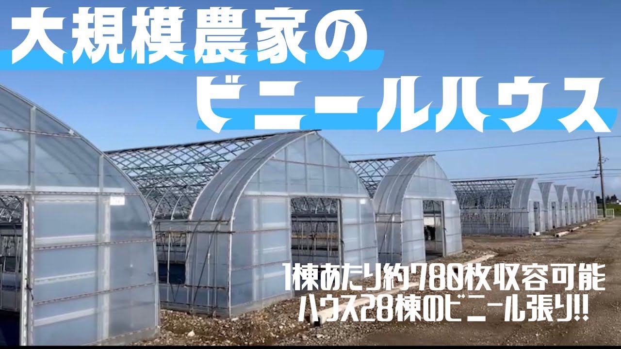 大規模農家】育苗ハウス28棟！苗の受け入れ準備開始！！ - YouTube