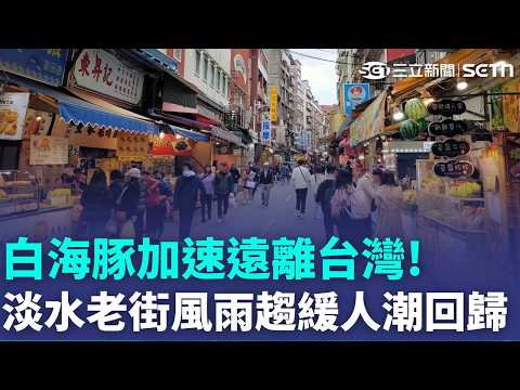 Typhoon Dolphin Speeds Away from Taiwan! Winds and Rains Ease in Tamsui, New Taipei; Crowds Retur...