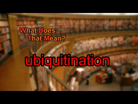 Video: Cosa significa ubiquitinazione?