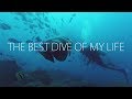 The Best Dive Of My Life