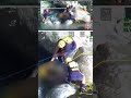 Se cae a un río