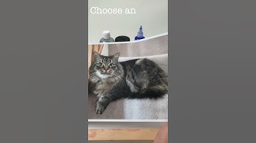 How to screen print | Easy to use Screen Printing Stencil System