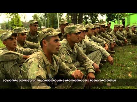 შეხვედრა ეროვნული უმცირესობების წარმომადგენელ სამხედროებთან