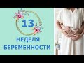 13 Неделя Беременности. Развитие плода и ощущения мамы