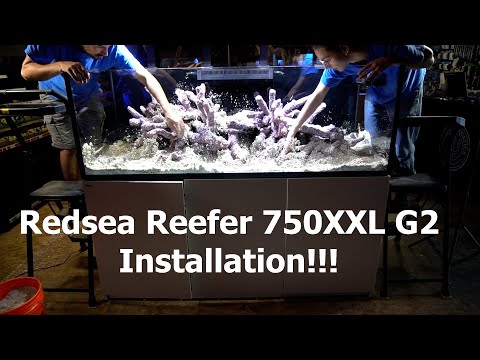 Redsea Reefer 750XXL G2 Display Aquarium Installation.