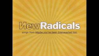 Video thumbnail of "New Radicals - Jehovah Made This Whole Joint For You"