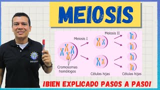 MEIOSIS. EL CICLO CELULAR. BIEN EXPLICADO