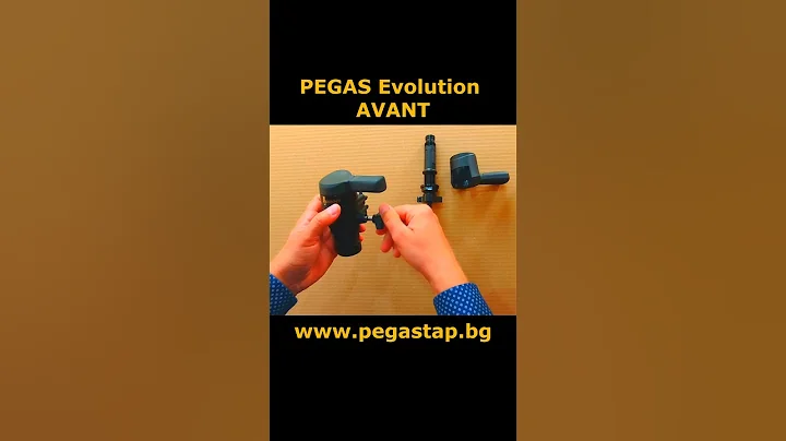 Pegas Evolution AVANT