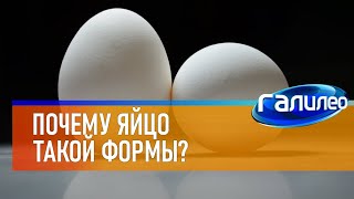 Галилео 🥚 Почему Яйца Такой Формы?