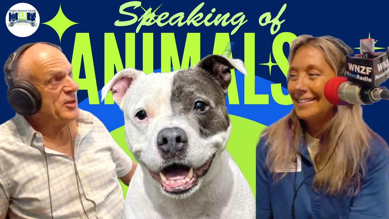 Speaking Of Animals - Preventative Care: Essential Home Exams for Your Furry Friends