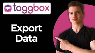How To Export UGC Data Using Taggbox (Full Guide)