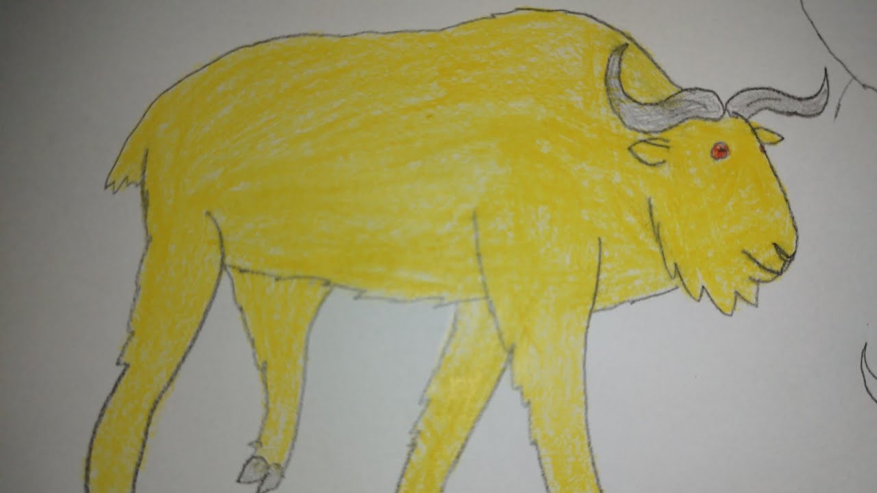 Sound Effects-Golden Takin