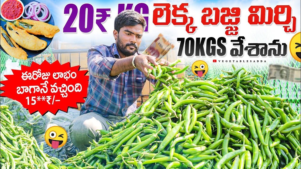 ఈరోజు లాభం 200**₹/– బాగానే వచ్చింది 🤪//మిర్చి వేసాను 20₹ kg లెక్క #bowenpally #vegetables #comedy 