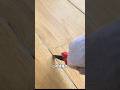 この作業、自分でできると思いますか