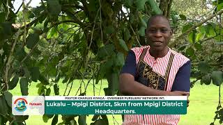 Episode 548 Dont Waste Time Mapping The Size Of Your Enemy Pastor Charles Kiyaga
