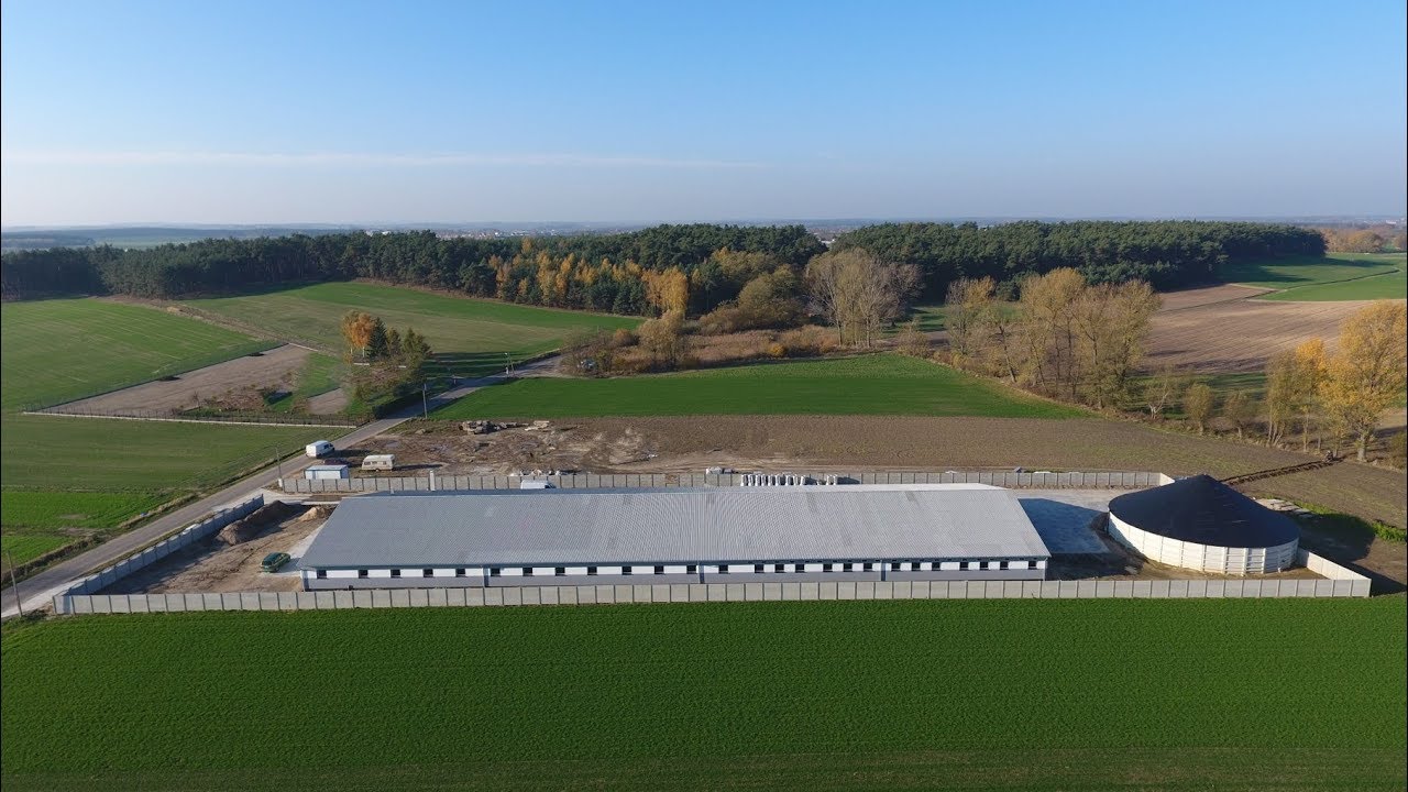 Otwarcie chlewni, budowa chlewni, chlewnia dla 300 loch -  Nowy dwór - Kanus