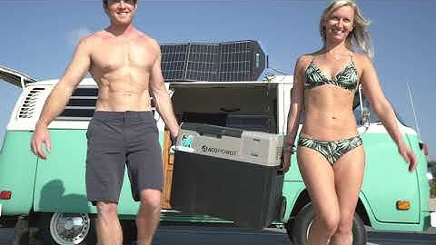 Ready for the Beach Day? | LiONCooler🐋