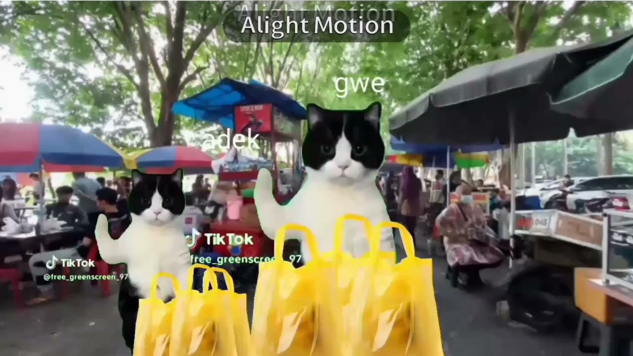 Spesial video cat ramadhan full #alightmotion371 #fypシ #cute #memes #ramadan #memekucinglucu