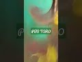 Rajang Daun Talas Beneng Taro Bali Thecatheco Farmfamily Portal Bali Sejahtera