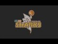 GAME HIGHLIGHTS: Sharks @ Airs - 2021 Sal's NBL Round 5