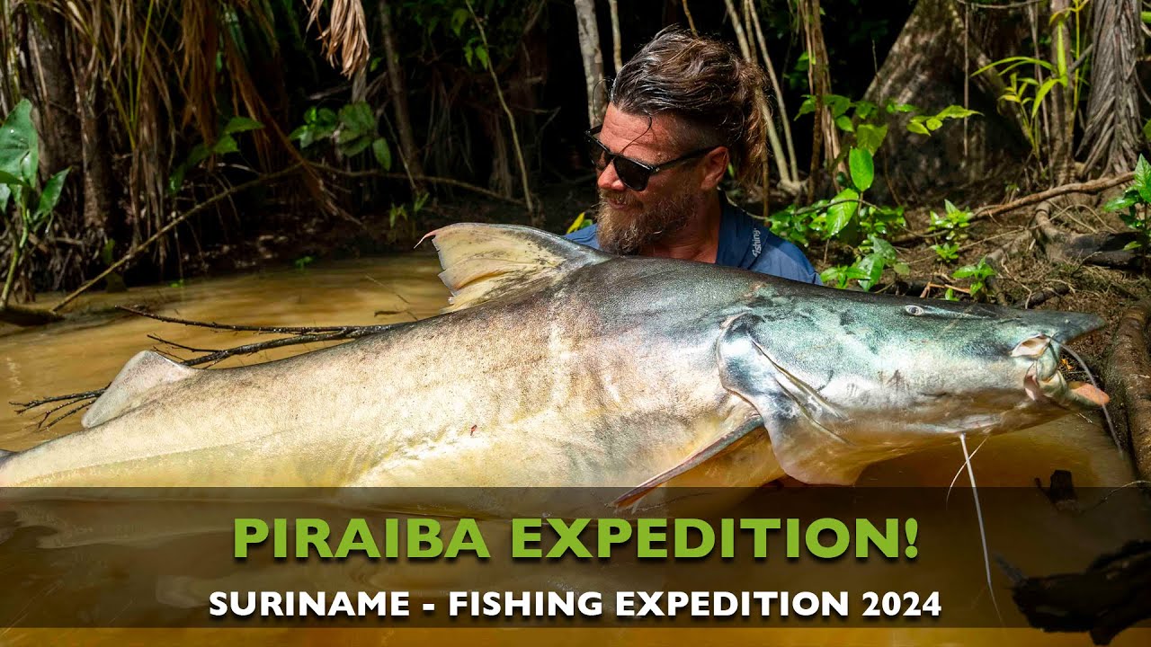PIRAIBA FISHING - SURINAME - MR WALLER