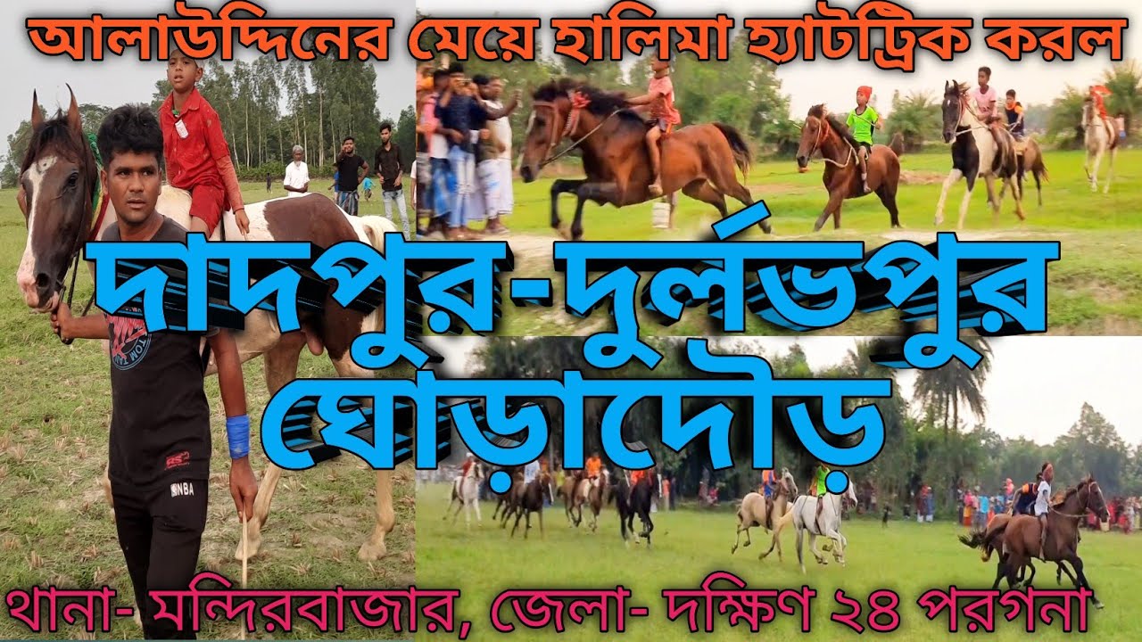দাদপুর দুর্লভপুর ঘোড়াদৌড় || হালিমা হ্যাটট্রিক করল #2025 #horse #race #1stprize #10k #ঘোড়া #দৌড় 🏇