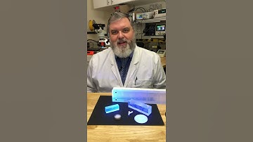 Good Feels Now: Scintillating #Shorts