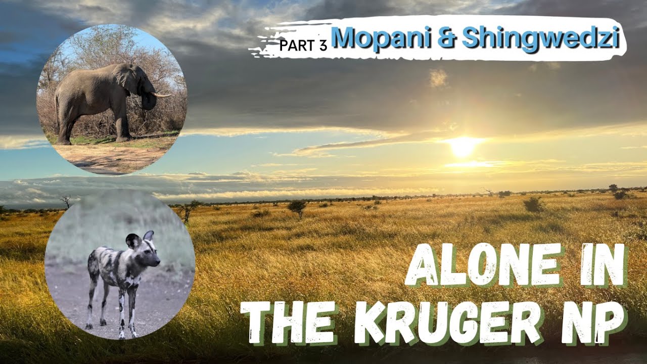 Travel, Game Park, Kruger National Park, Mopani & Shingwedzi, Part 3, All alone in the north of KNP