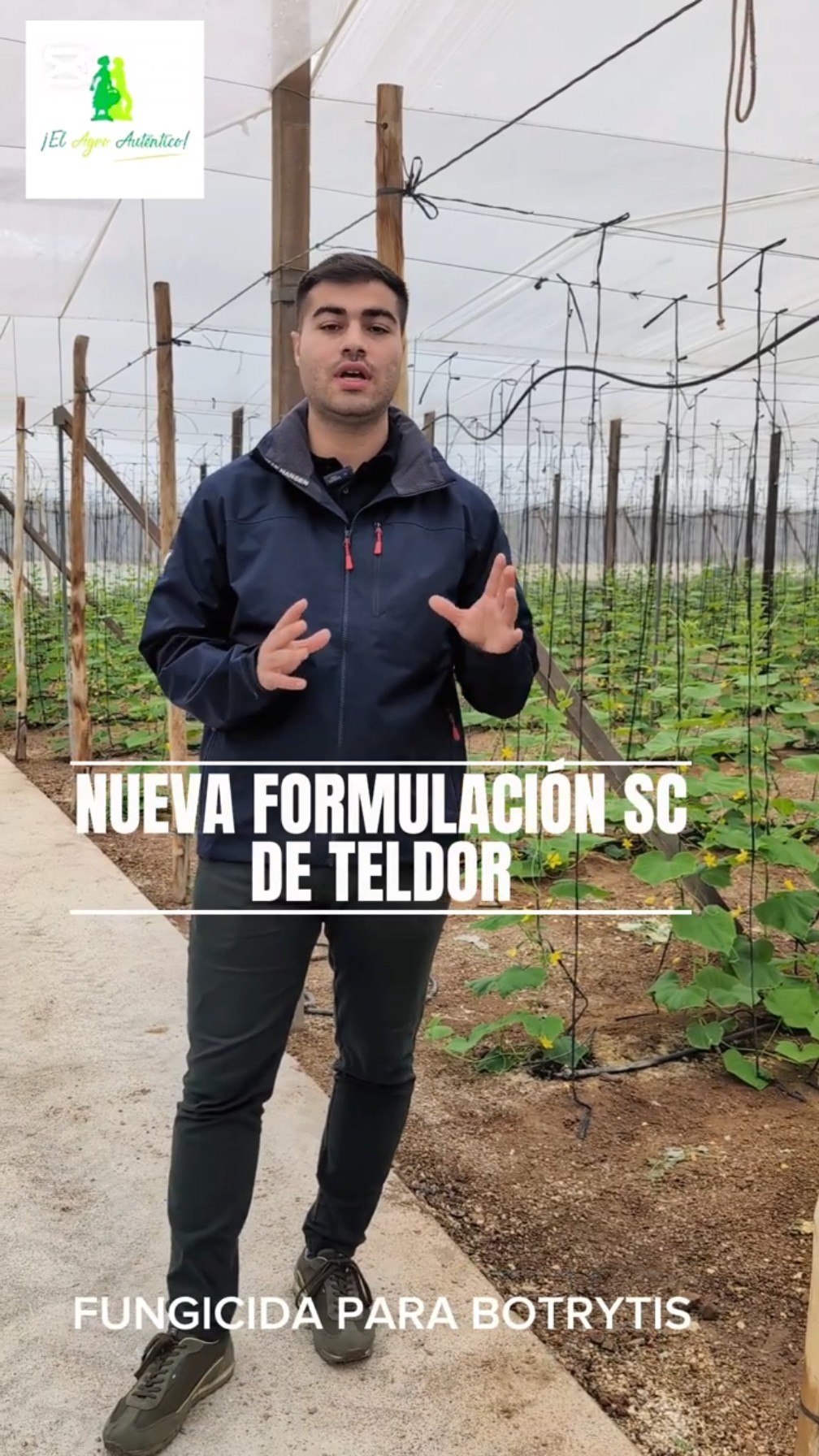 Novedades en los fungicidas de Bayer