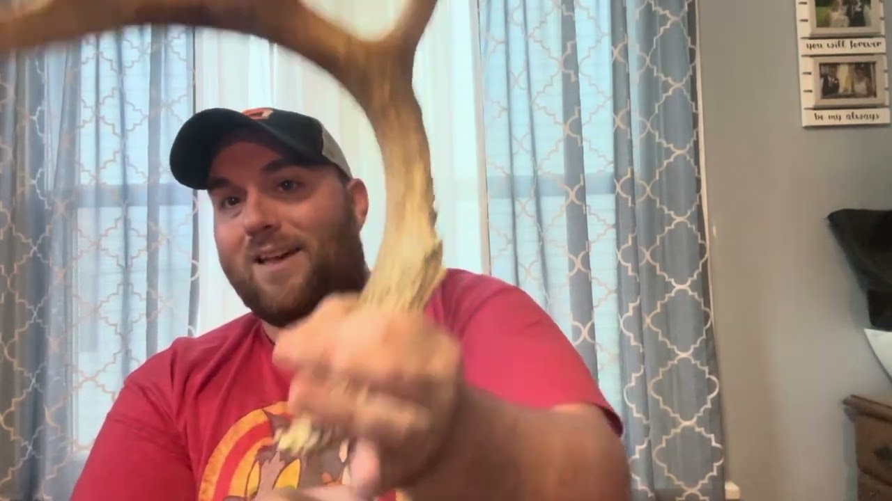 Пять моих самых любимых сброшенных рогов, которые я когда-либо находил!