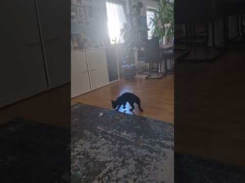 2 ноября 2024 г