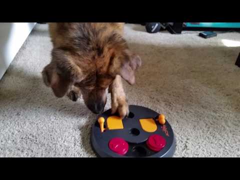 TRIXIE Pet Products Flip Board, Level 2