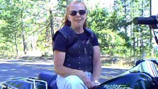 Buzzirk Mobile Wireless