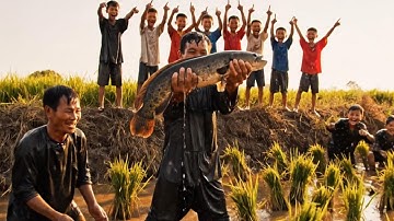 “Mùa Nước Nổi Miền Tây: Một Ngày Theo Chân Người Dân Bắt Cá, Mưu Sinh Giữa Đồng Lũ”