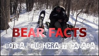 The Bear Facts