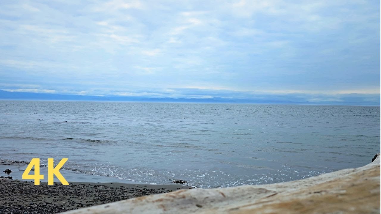 4K - Moody Beach ASMR