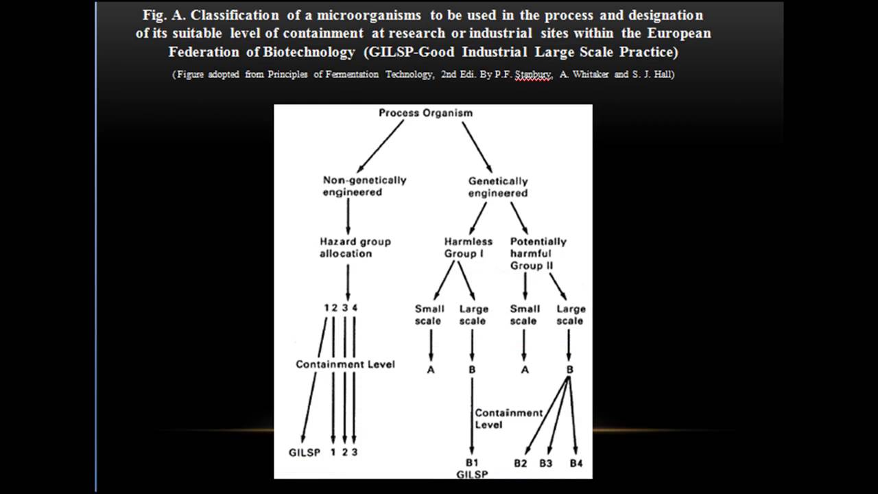 Aseptic operation and containment
