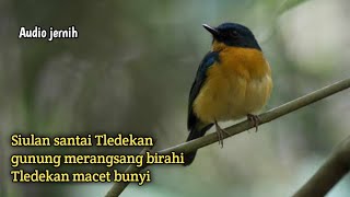 pancingan Tledekan gunung siulan santai tledekan gunung merangsang Tledekan cepat bunyi