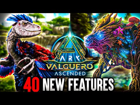 40       