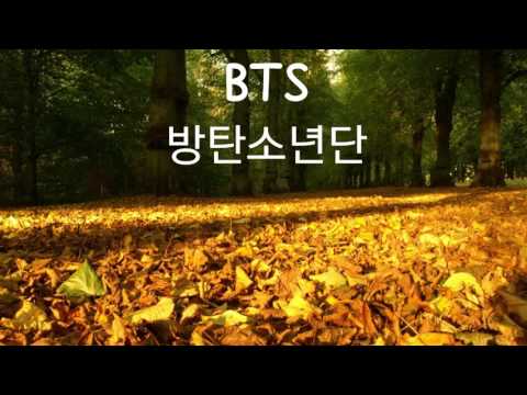 Acoustic BTS 방탄소년단 고엽 Dead Leaves Fallen Leaves English Cover 