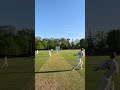 Never a dull moment #shorts #Cricket