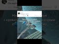 ВОТ ЭТО ТРУДЯГА! Автор видео: #юмор #мемас #прикол #комментарии #мем #мемы