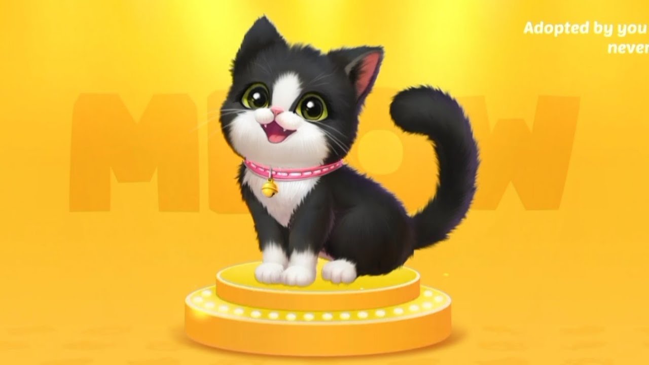 Kitten Match Gameplay - Play Fun Cute Kitten Pet Care Kids Game - Game For Children Level 1
