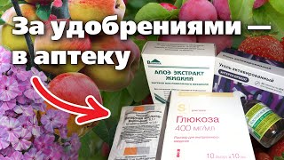 ЭТИ КОПЕЕЧНЫЕ УДОБРЕНИЯ МОЖНО КУПИТЬ В АПТЕКЕ