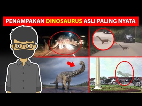 10 PENAMPAKAN DINOSAURUS