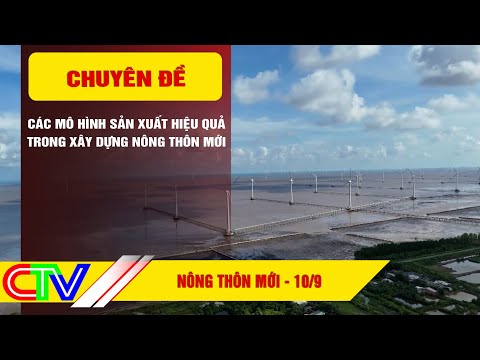 CÁC MÔ HÌNH SẢN XUẤT HIỆU QUẢ TRONG XÂY DỰNG NÔNG THÔN MỚI