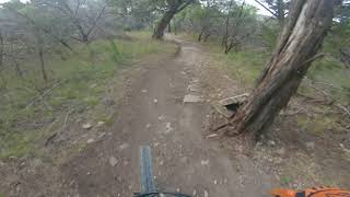 Spider Mountain Bike Park: Tarantula and Jump Line