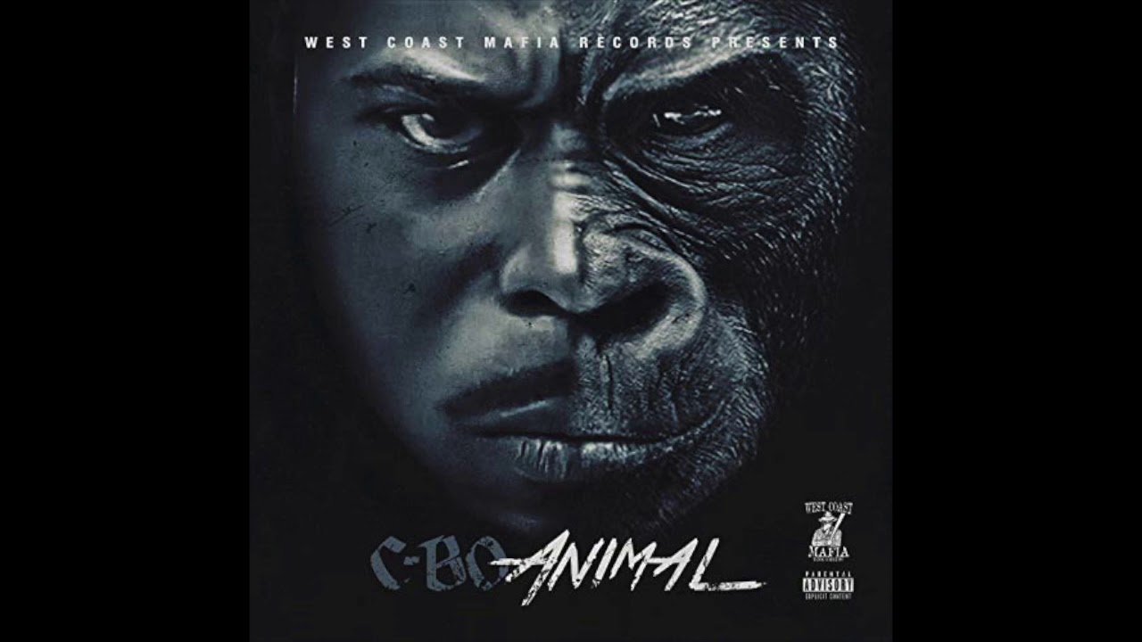 Watch C-Bo - Cat-n-Mouse - Animal on YouTube Watch C-Bo - Cat-n-Mouse - Animal on YouTube